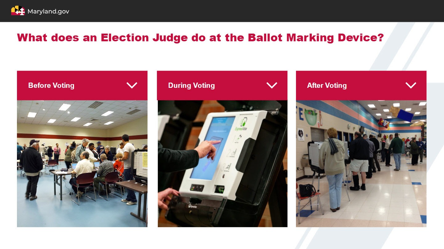 Election Judges Screenshot 3 Election Judges Screenshot 3